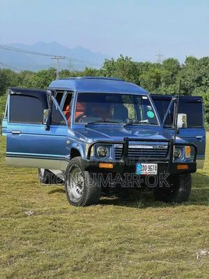 Mitsubishi Pajero 1991 Blue