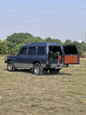 Mitsubishi Pajero 1991 Blue
