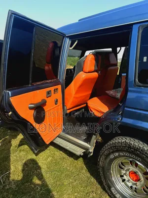 Mitsubishi Pajero 1991 Blue