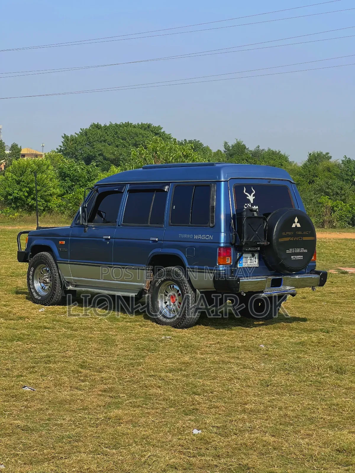Mitsubishi Pajero 1991 Blue