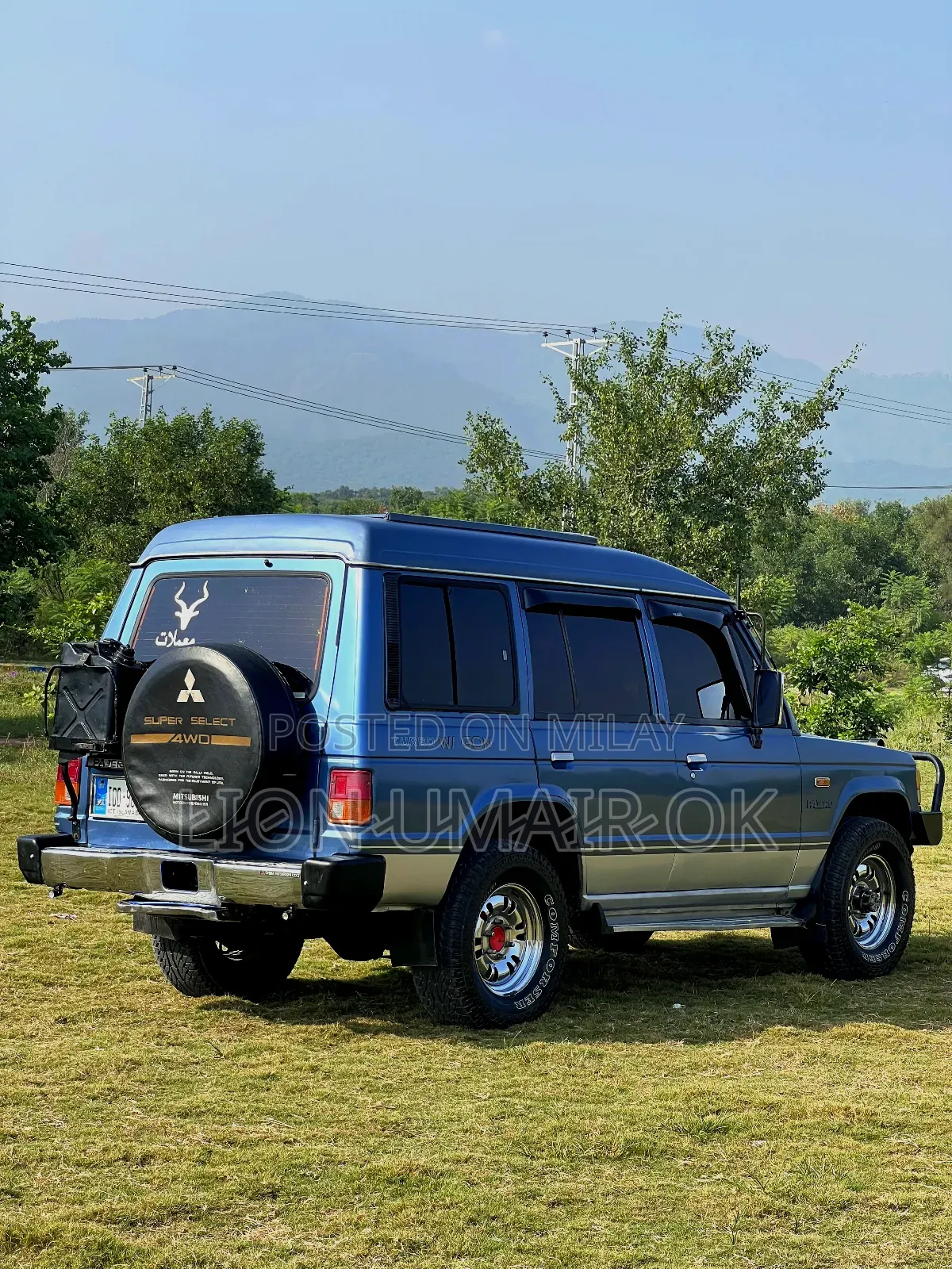 Mitsubishi Pajero 1991 Blue
