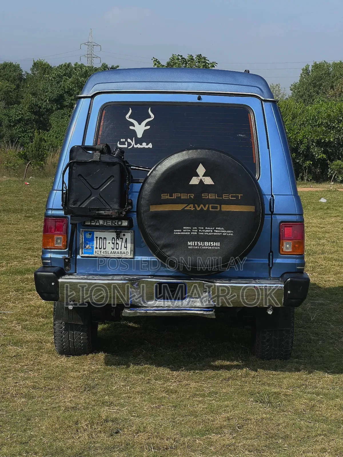 Mitsubishi Pajero 1991 Blue
