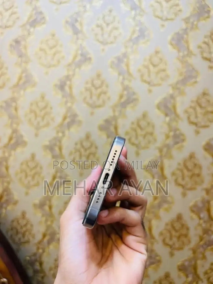 New Apple iPhone 15 Pro Max 256 GB Silver