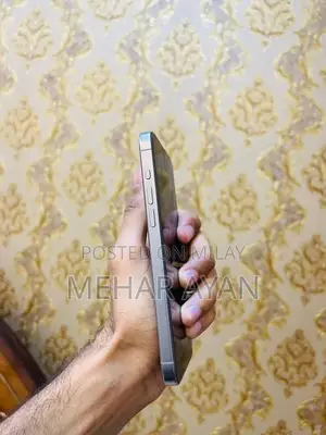 New Apple iPhone 15 Pro Max 256 GB Silver