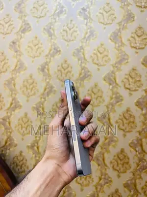 New Apple iPhone 15 Pro Max 256 GB Silver