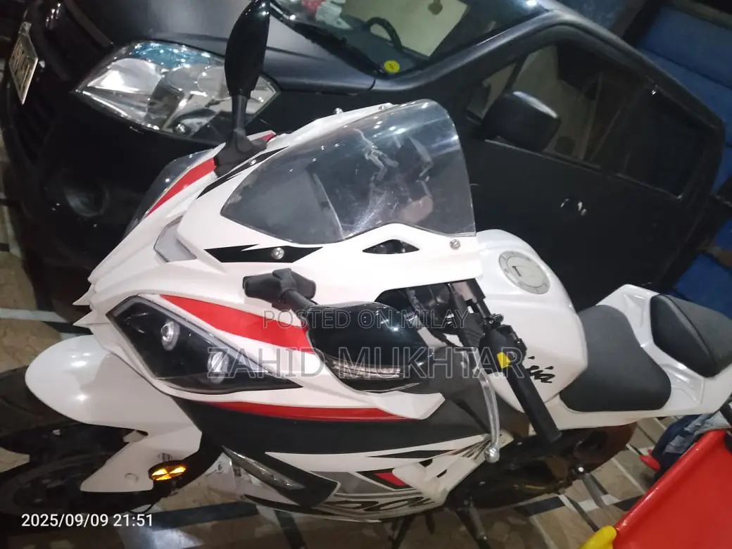 Ducati 2024 White