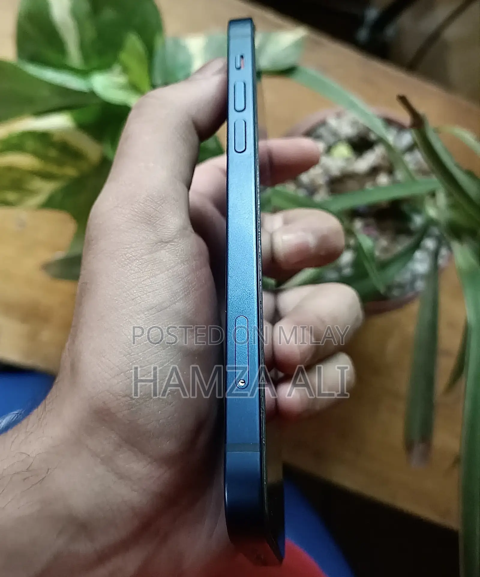 New Apple iPhone 12 64 GB Blue