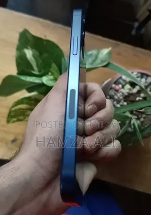 New Apple iPhone 12 64 GB Blue