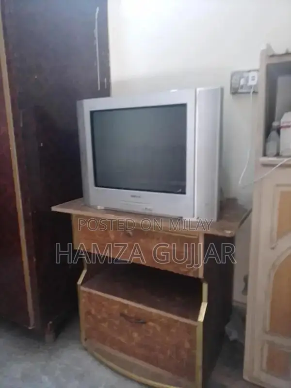 Sony High-Definition Television Display