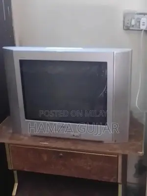 Sony High-Definition Television Display