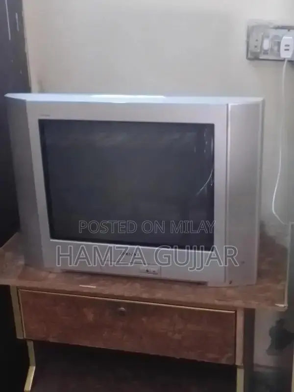 Sony High-Definition Television Display