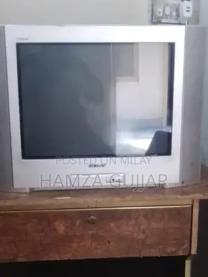 Sony High-Definition Television Display