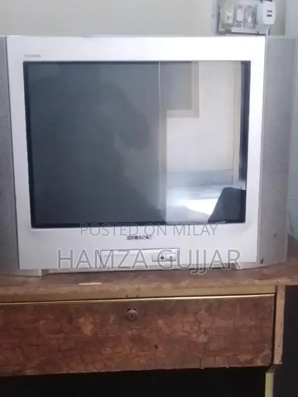 Sony High-Definition Television Display