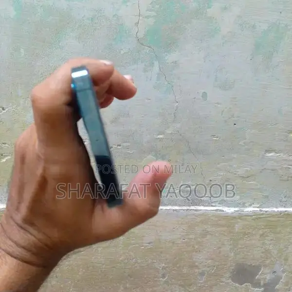 128GB Factory Unlocked Smartphone with Panel Replacement