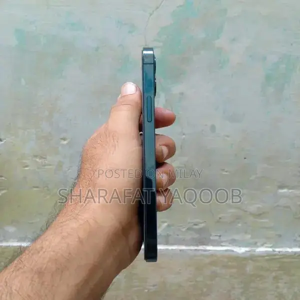 128GB Factory Unlocked Smartphone with Panel Replacement