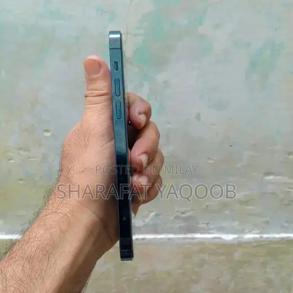 128GB Factory Unlocked Smartphone with Panel Replacement