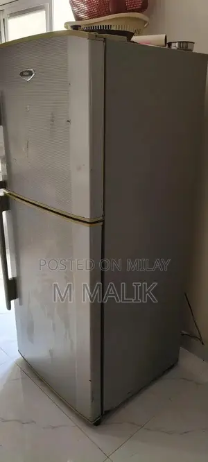 Photo - Haier Large Family Refrigerator - Double Door Full-Size Model