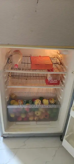 Haier Large Family Refrigerator - Double Door Full-Size Model