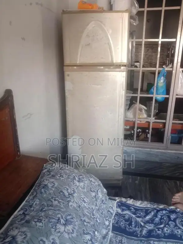 Dawlance Two-Door Refrigerator with Large Compartments