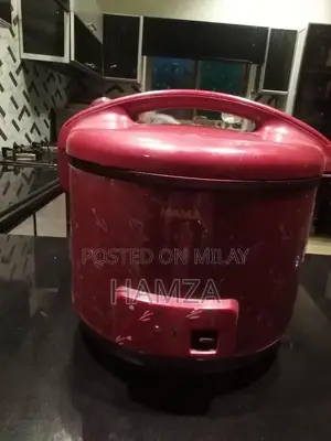 Imported Electric Rice Cooker Kitchen Appliance
