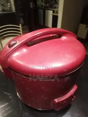 Imported Electric Rice Cooker Kitchen Appliance