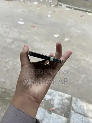 High-Performance Pixel Pro XL Smartphone