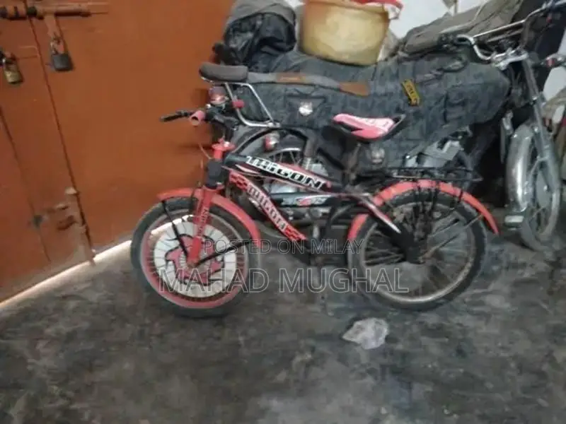 Trigon Bicycle - Used Urban Cycling Bike