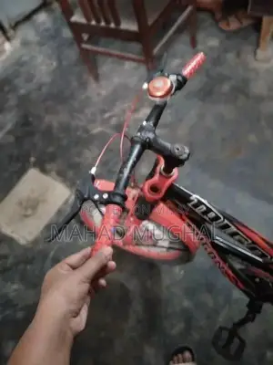 Trigon Bicycle - Used Urban Cycling Bike