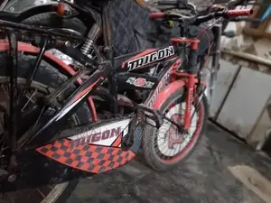 Trigon Bicycle - Used Urban Cycling Bike