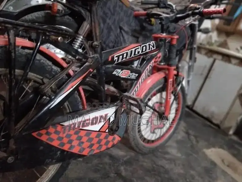 Trigon Bicycle - Used Urban Cycling Bike