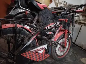 Trigon Bicycle - Used Urban Cycling Bike