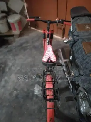 Trigon Bicycle - Used Urban Cycling Bike