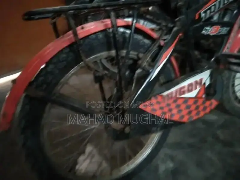 Trigon Bicycle - Used Urban Cycling Bike