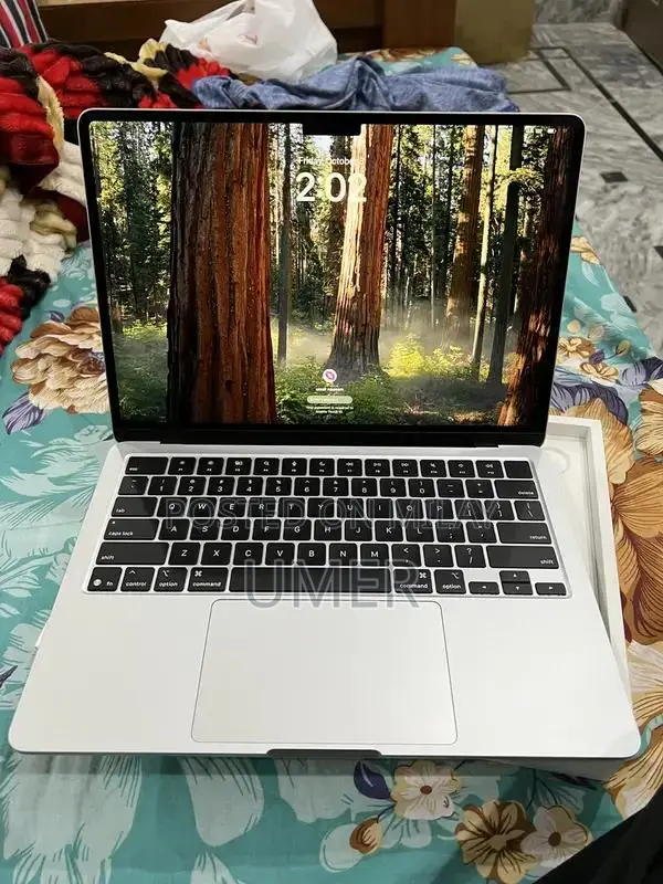 Apple MacBook Air M4 256GB Silver Laptop