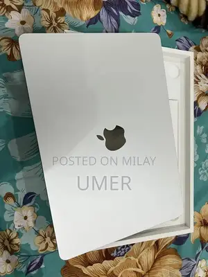 Apple MacBook Air M4 256GB Silver Laptop