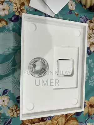 Apple MacBook Air M4 256GB Silver Laptop