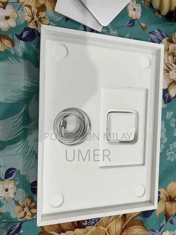 Apple MacBook Air M4 256GB Silver Laptop