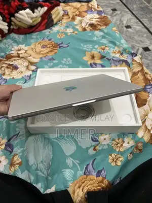 Apple MacBook Air M4 256GB Silver Laptop