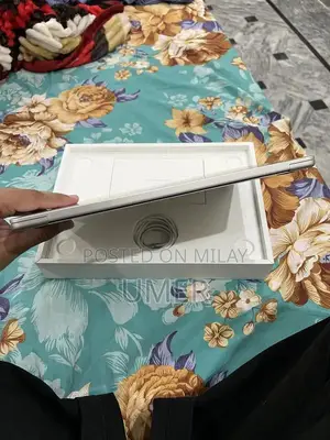 Apple MacBook Air M4 256GB Silver Laptop