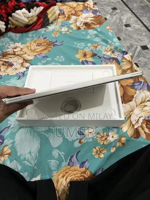 Apple MacBook Air M4 256GB Silver Laptop