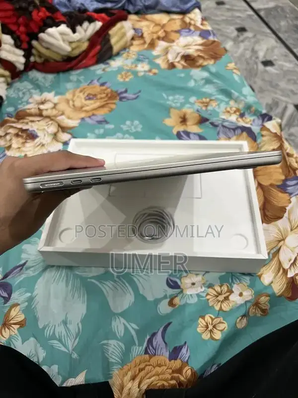 Apple MacBook Air M4 256GB Silver Laptop