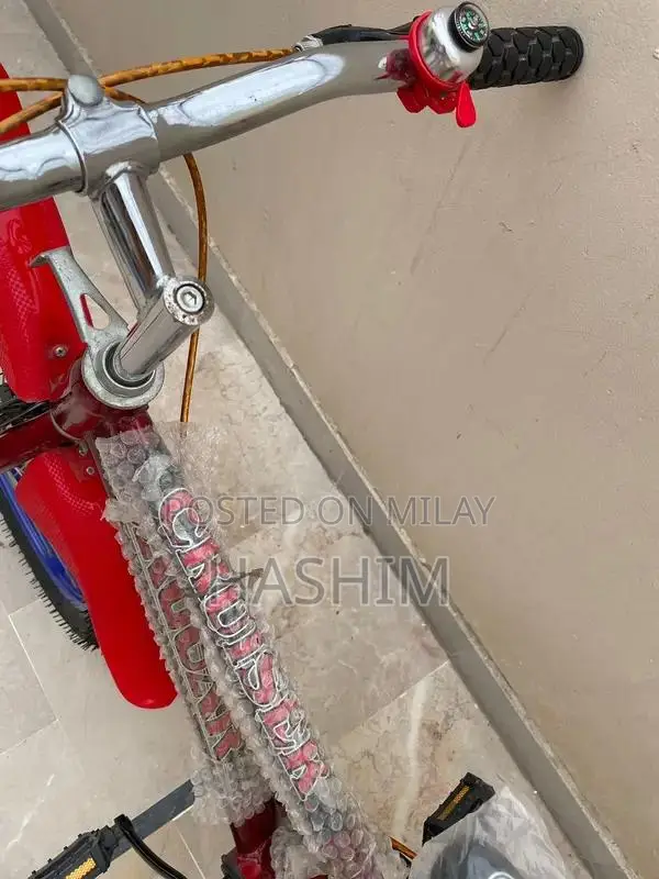 Youth Bicycle for Ages 9-12 with 24-inch Wheels