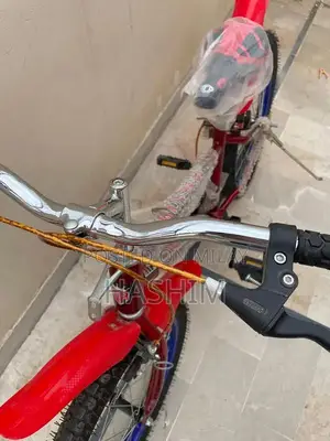 Youth Bicycle for Ages 9-12 with 24-inch Wheels