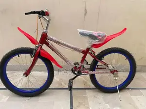 Youth Bicycle for Ages 9-12 with 24-inch Wheels