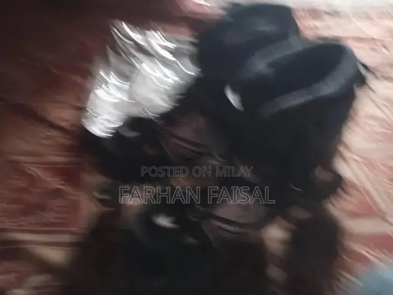 Roller Skating Shoes - Compact Recreational Footwear