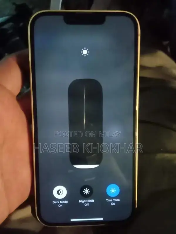 High-Performance Apple Smartphone with Storage