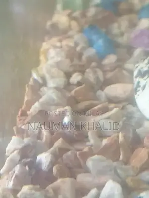 3-Foot Aquarium Kit with Pump, Filter, and Moli Fish