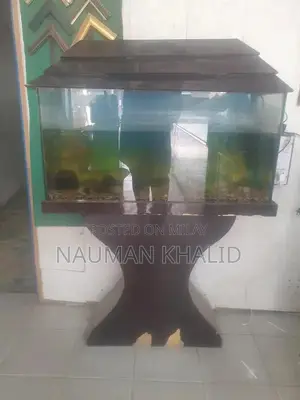 3-Foot Aquarium Kit with Pump, Filter, and Moli Fish