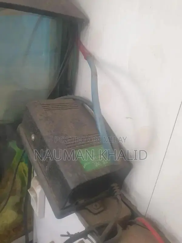 3-Foot Aquarium Kit with Pump, Filter, and Moli Fish