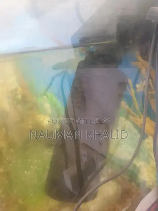 3-Foot Aquarium Kit with Pump, Filter, and Moli Fish